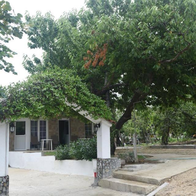 Villa Leonidas Koutsoupia Kokkino Nero Exterior foto
